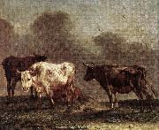 POTTER, Paulus Cows in a Meadow af oil on canvas